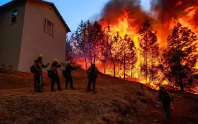 Proactive Regulation Needed to Prevent Wildfire Infernos